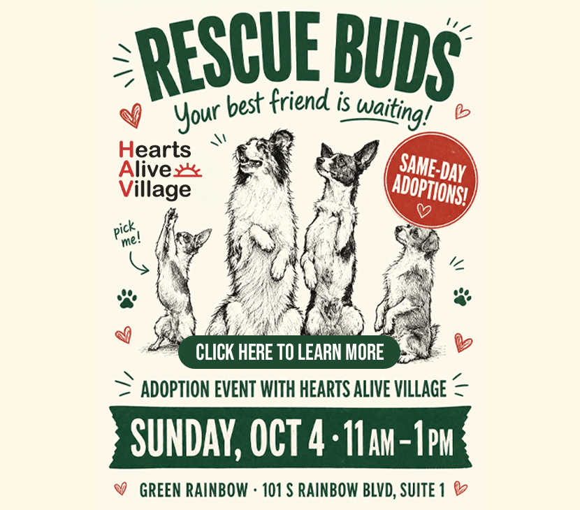 Illustrated flyer of four rescue dogs sitting up and begging. Text: "Rescue Buds, adoption event with Hearts Alive Village. Same-day adoptions. Sunday, Oct 4, 11 AM to 1 PM at Green Rainbow, 101 S Rainbow Blvd, Suite 1."