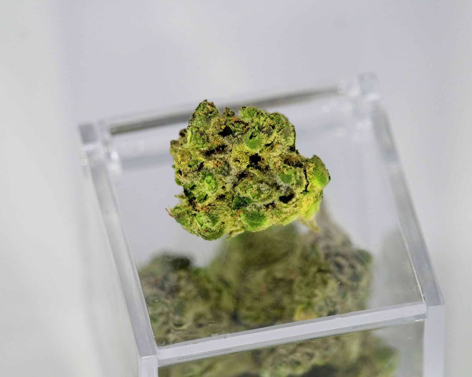 Can You Freeze Marijuana?