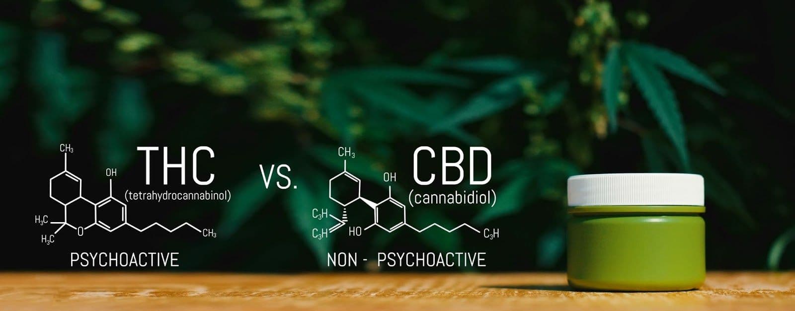 Hemp vs. Marijuana: What’s the Difference?