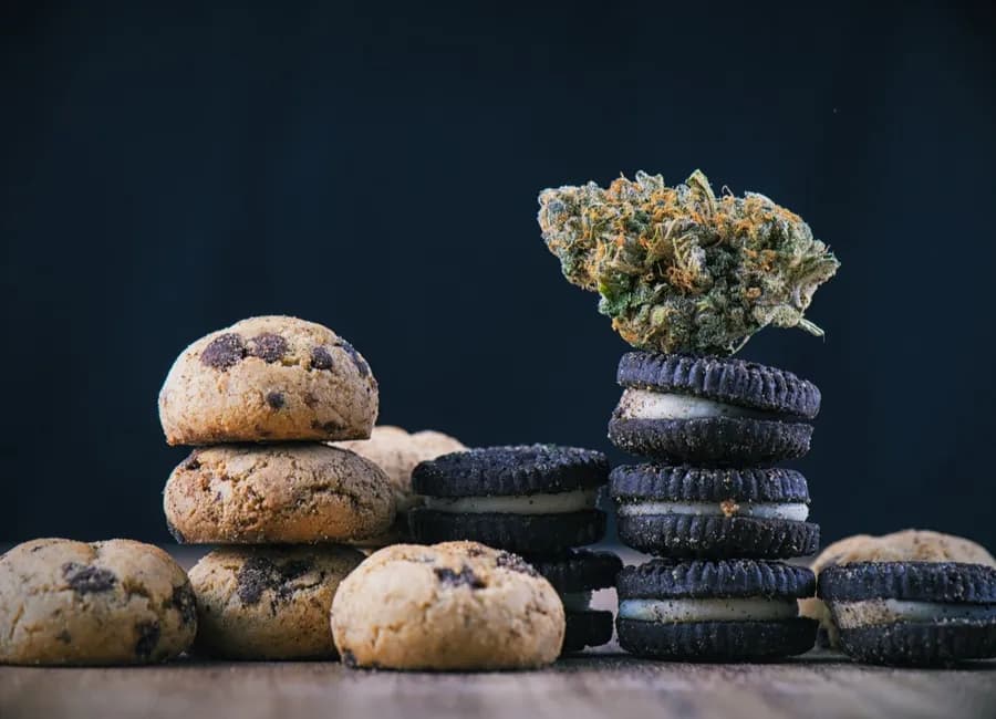 Cooking with Cannabis: The Basics