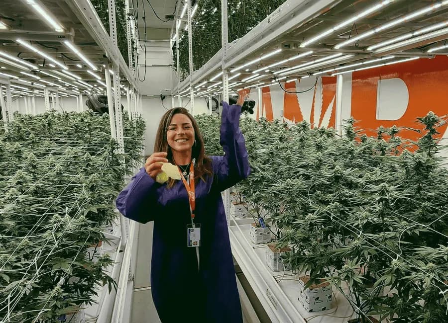 CAMP’s Vision for Cleaner Cannabis From Plant to Pure Extracts
