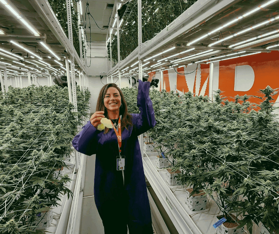 CAMP’s Vision for Cleaner Cannabis From Plant to Pure Extracts