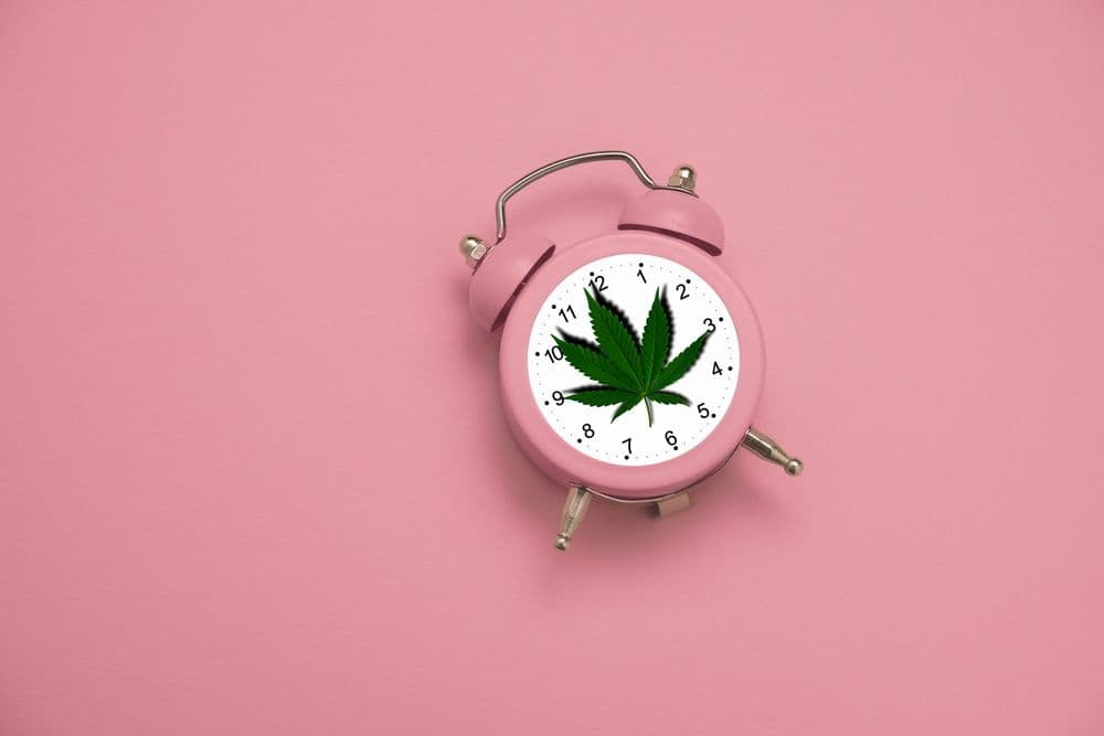 Cannabis Tolerance Breaks: What You Need To Know