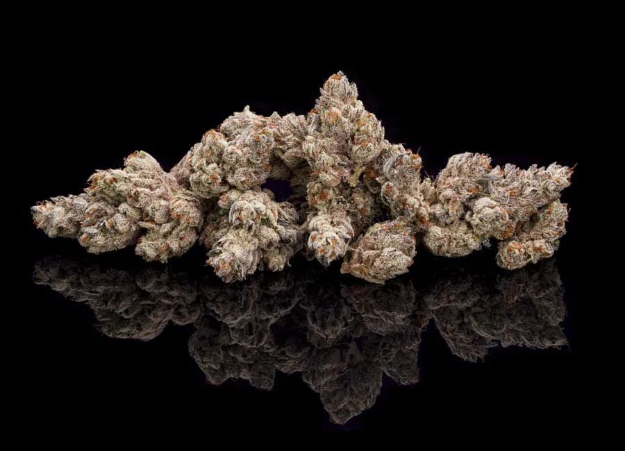 Inside SRENE’s 100,000 Sq-foot Nevada Cannabis Facility