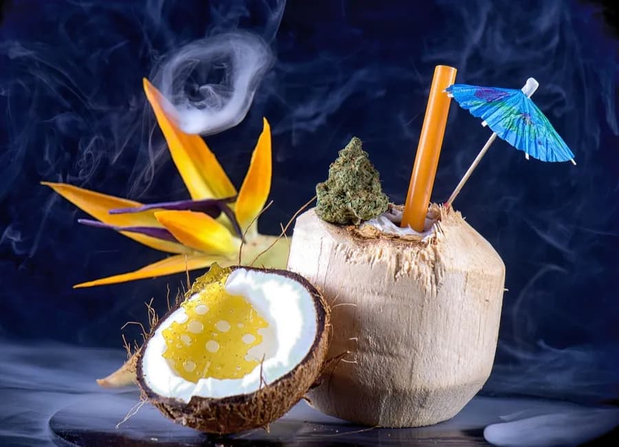 The Green Guide to Cannabis Beverages