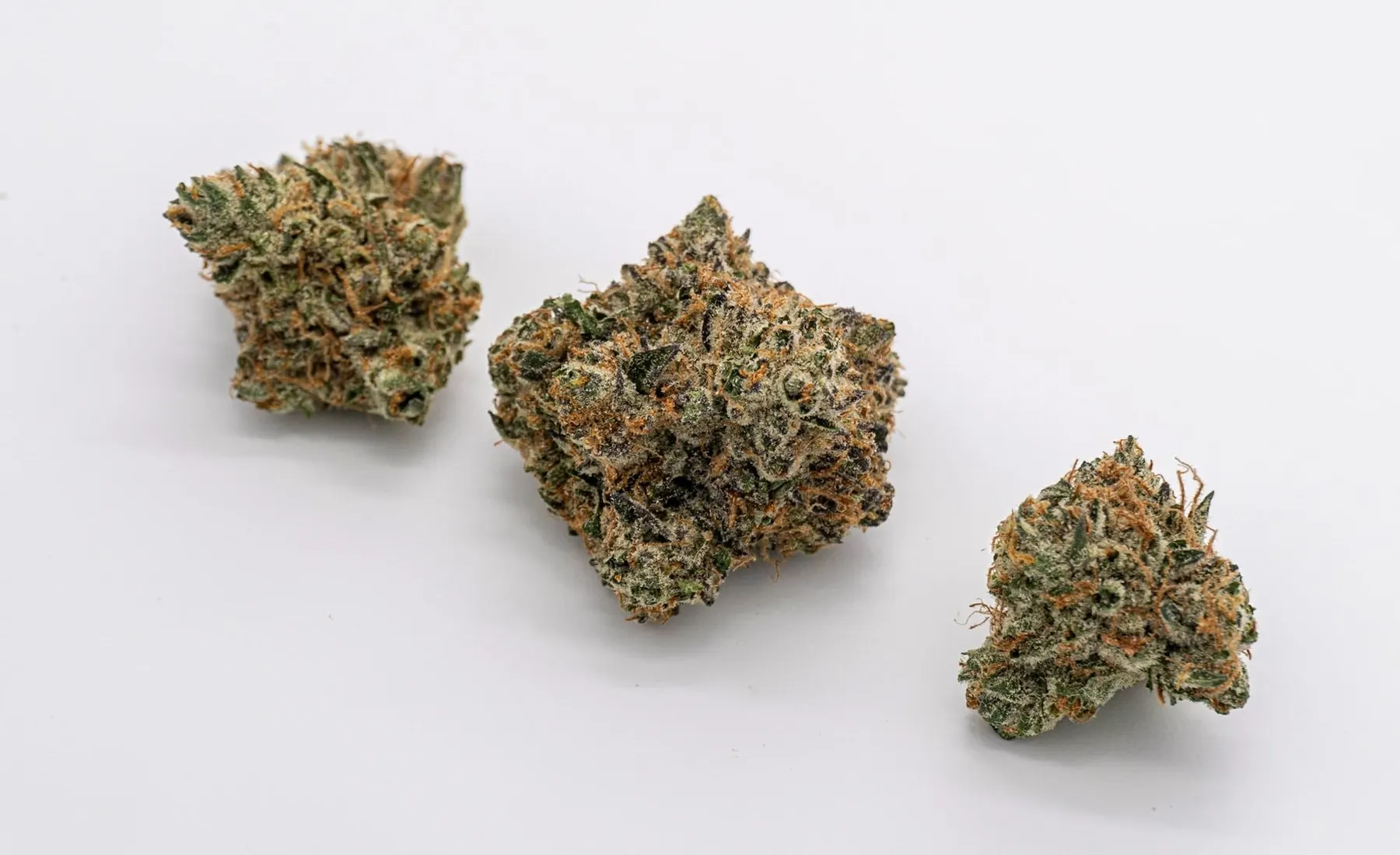 Does Cannabis Cause Hangovers: Fact vs. Fiction