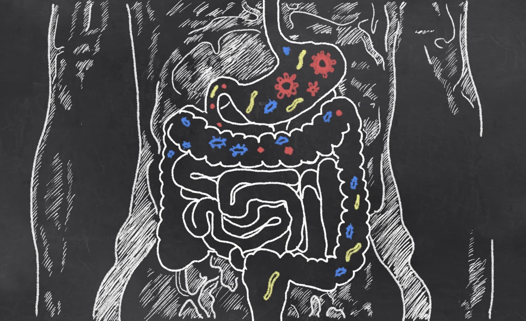 Can Cannabis Heal Your Gut?