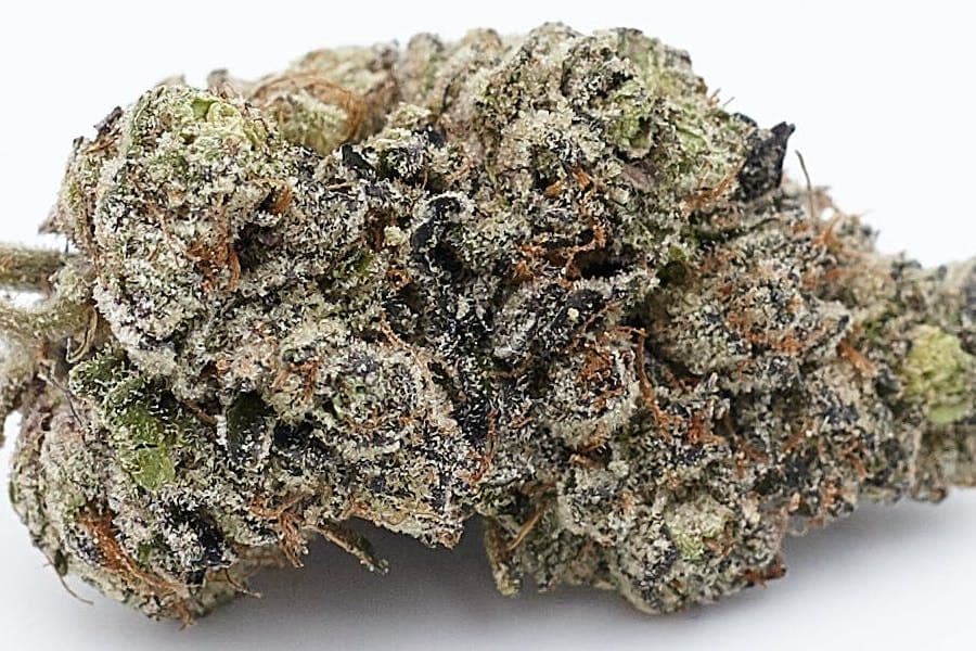 The Top 10 Hottest Cannabis Strains in Nevada
