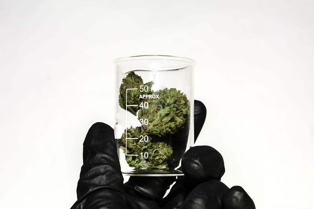 What We Learned About Cannabis in 2022