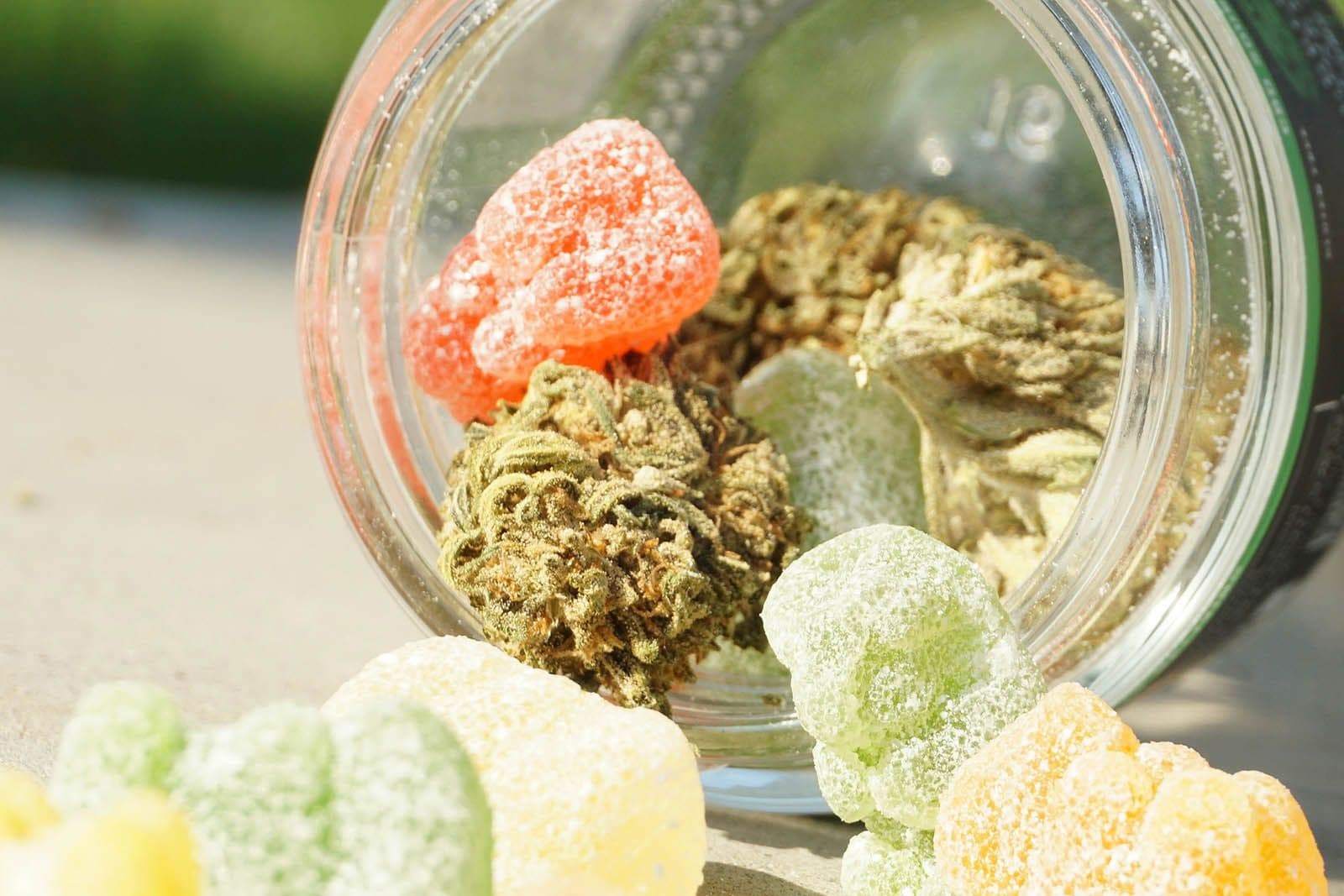 How Long Do Edibles Stay in Your System