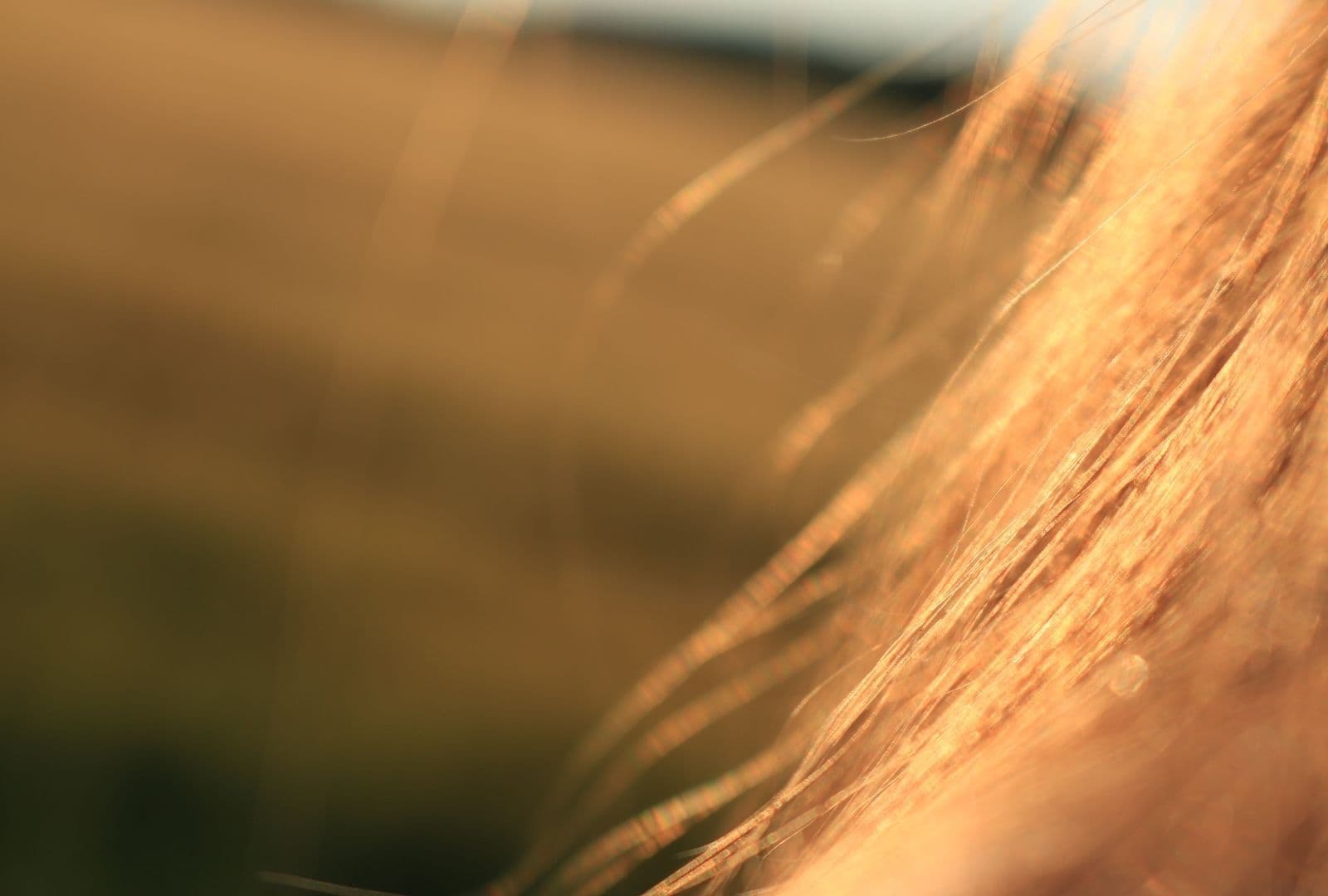 How Long Does THC Stay in Your Hair?