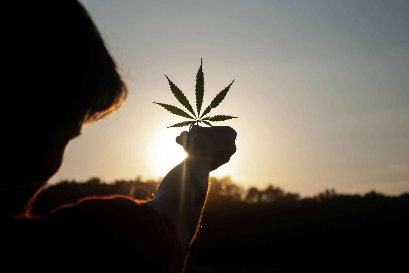 Is Weed a Depressant?