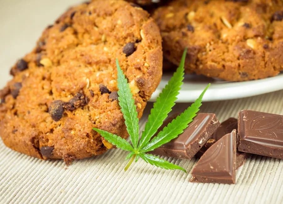 Smoking vs. Edibles: What’s Right for You?