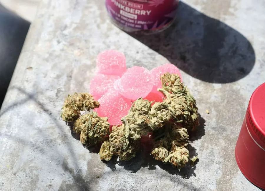 How Should You Store Edibles to Keep Them Fresh?