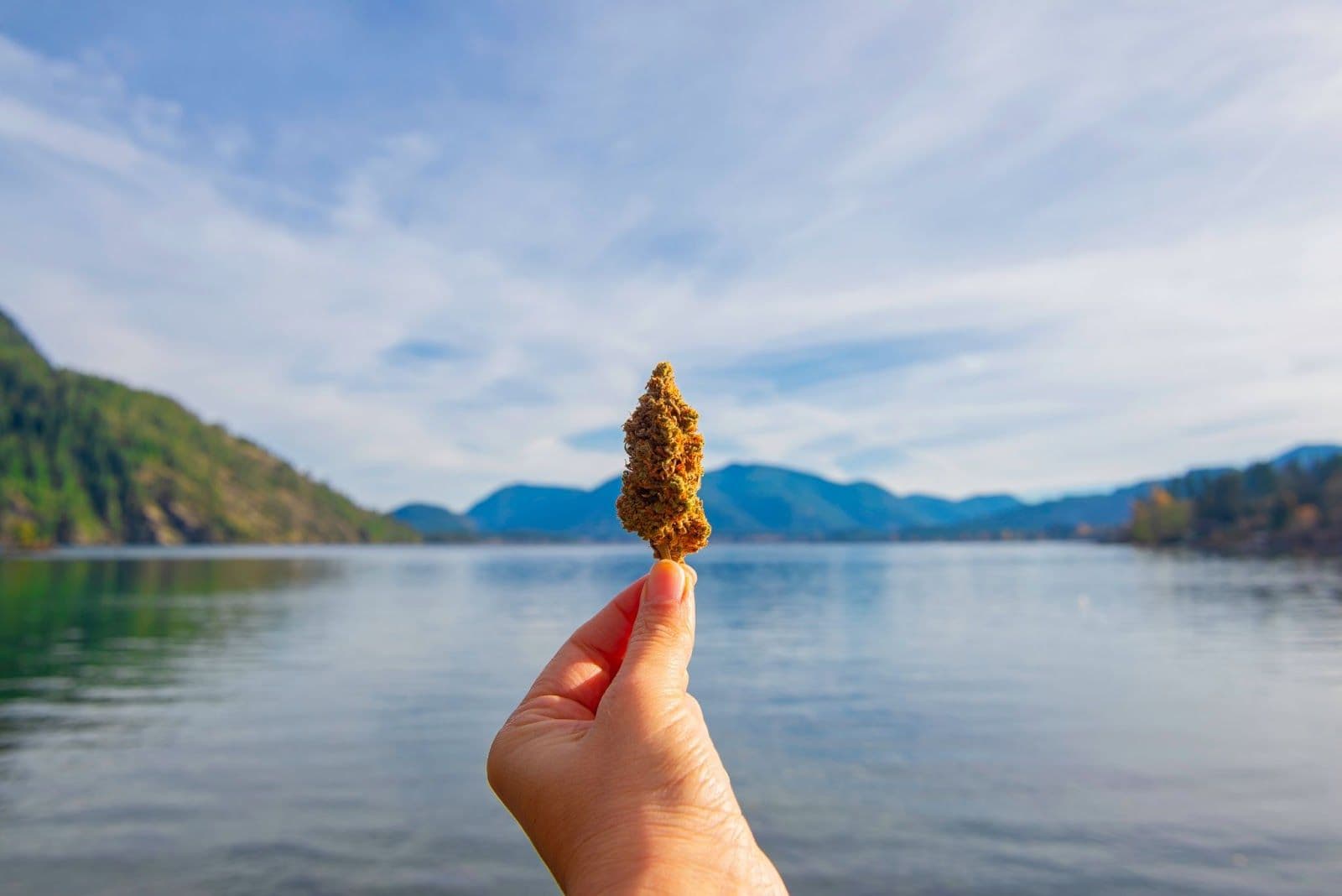 Beat the Heat: 420 Friendly Summer Activities