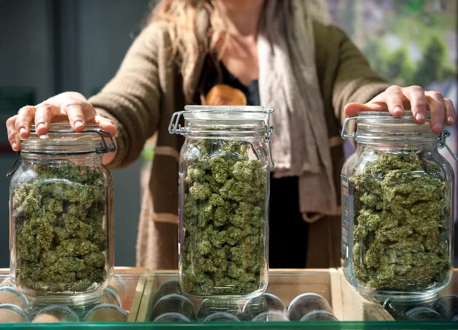 Does THC Percentage Matter?