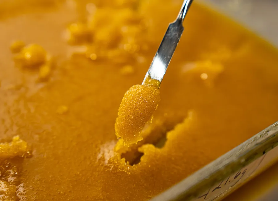 Dabs 101: Beginner’s Guide to Cannabis Concentrates
