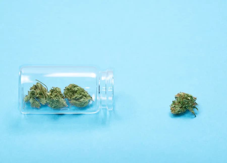 How to Store Your Cannabis