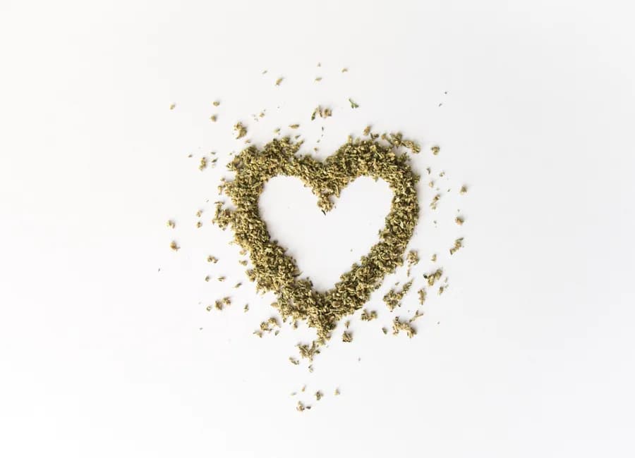 Is Cannabis an Aphrodisiac?