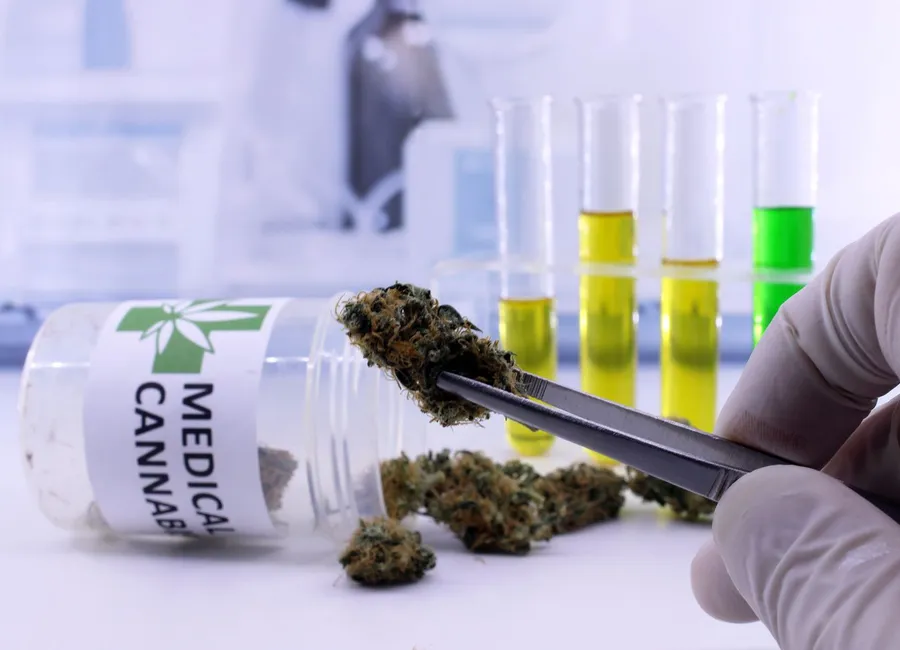 Medical vs Recreational Cannabis in Las Vegas