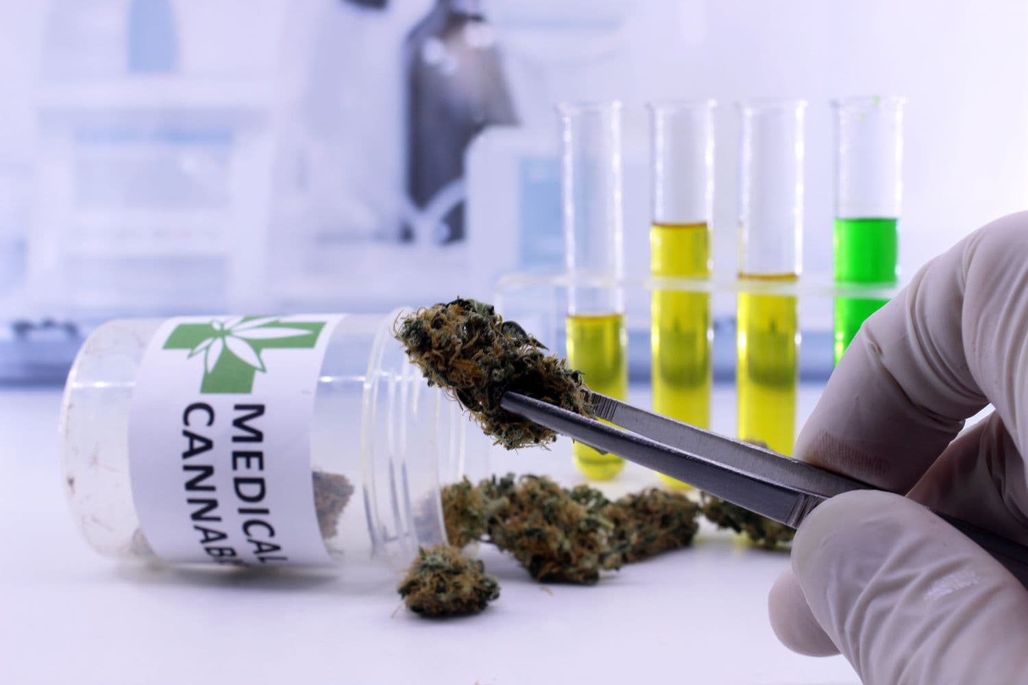 Medical vs Recreational Cannabis in Las Vegas