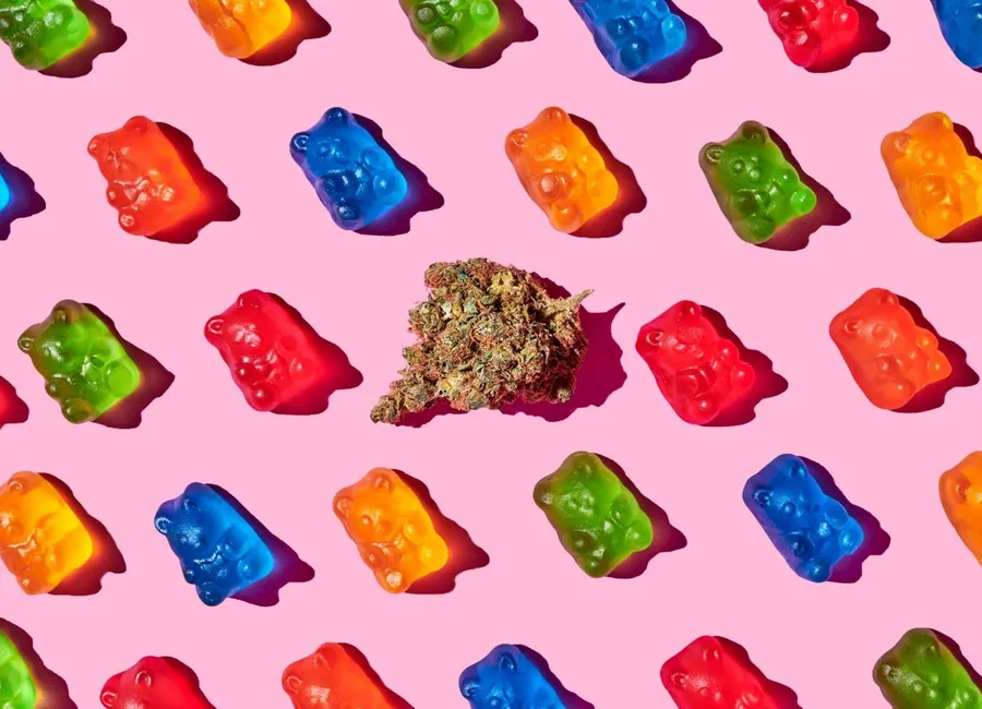 Edible Dosage Guide: How To Dose Edibles