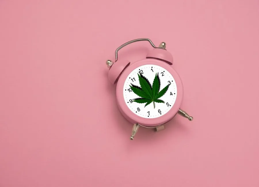Cannabis Tolerance Breaks: What You Need To Know