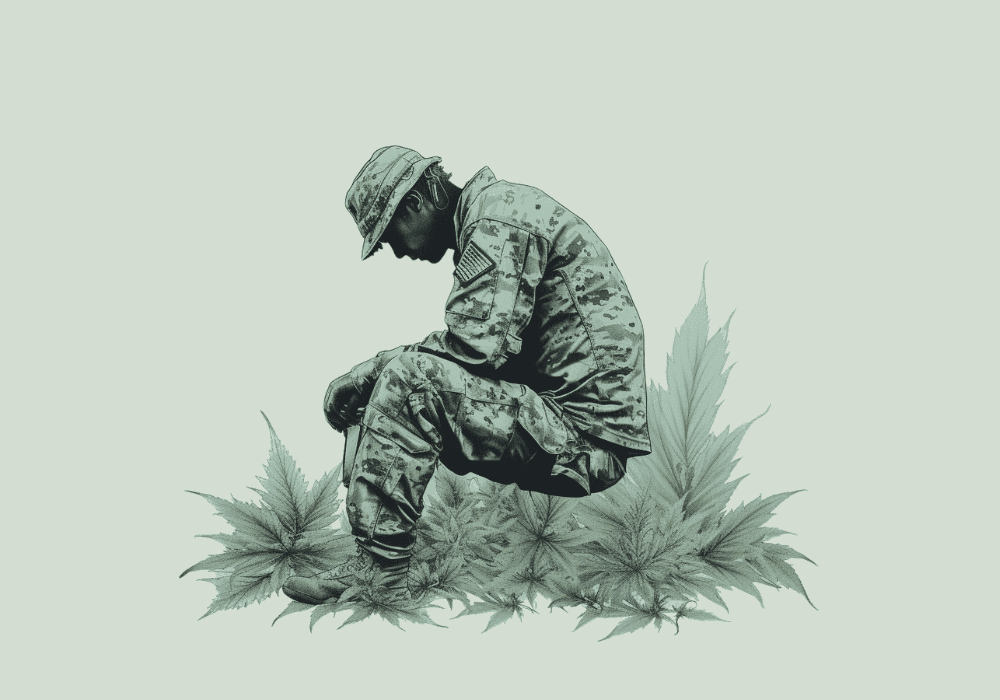 Cannabis and PTSD: Why Veterans are Turning to Weed for Relief