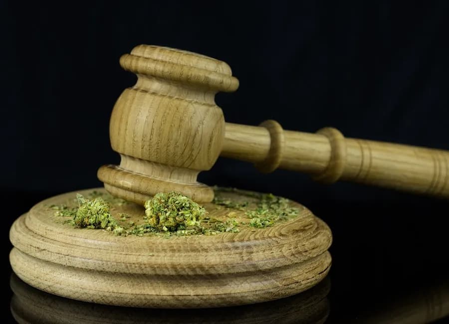 How and Where to Buy Cannabis in Las Vegas