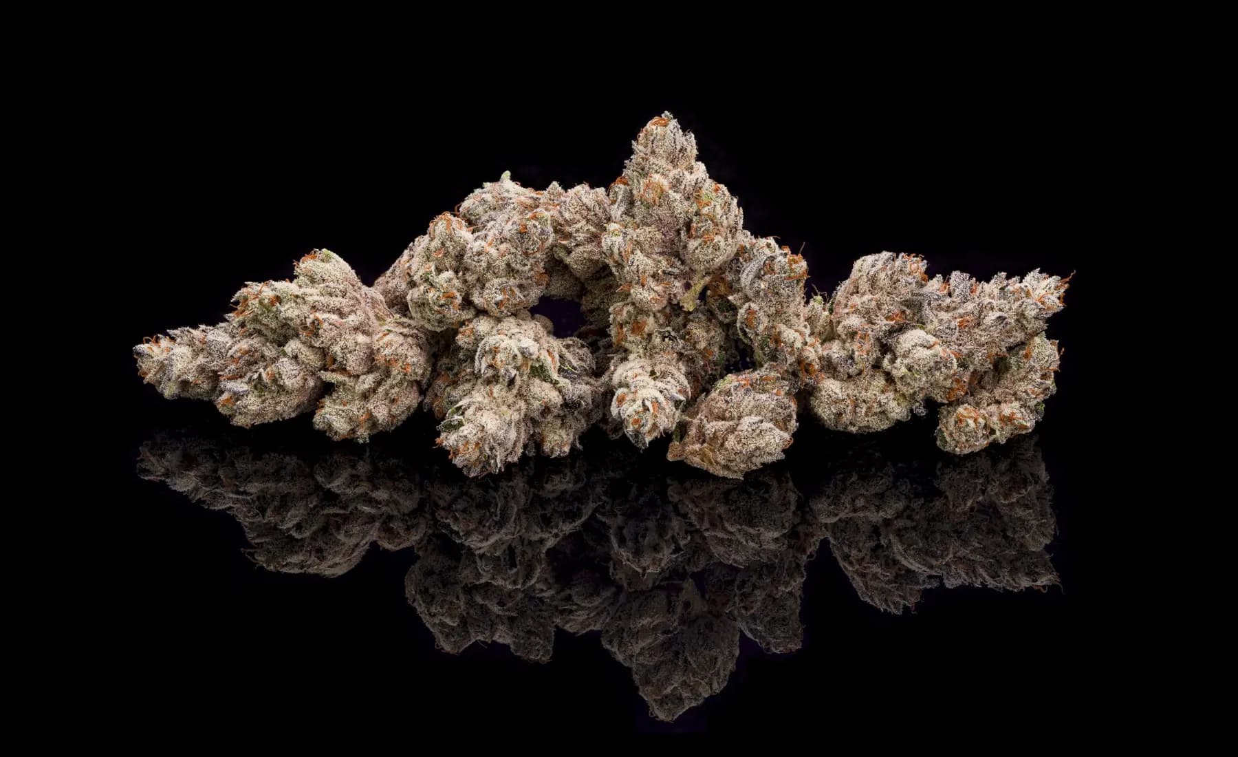 Inside SRENE’s 100,000 Sq-foot Nevada Cannabis Facility