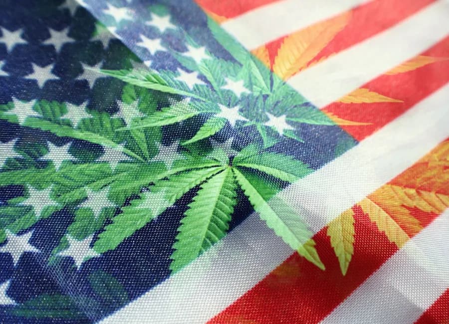 Recreational Cannabis in the United States: Where We Stand