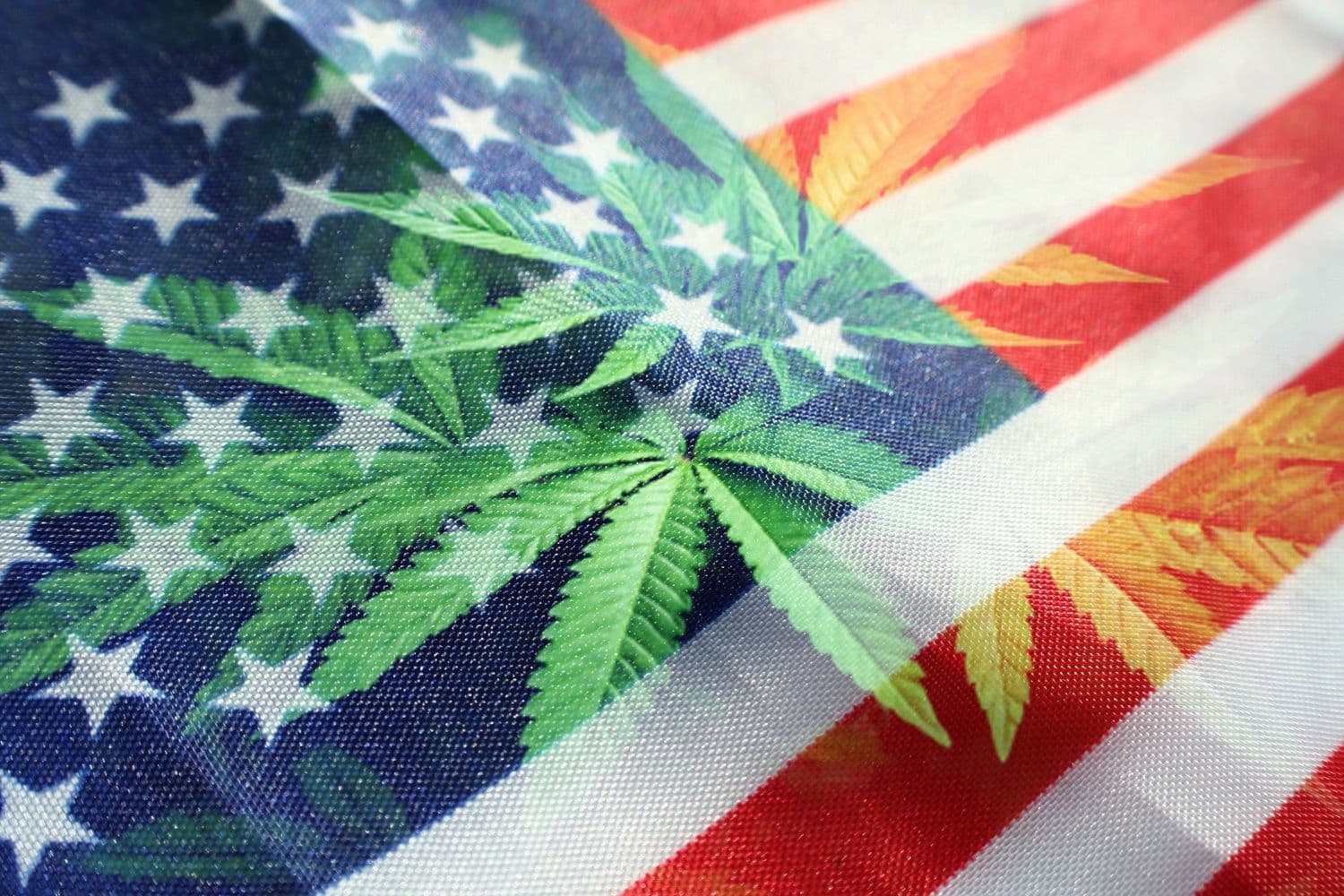 Recreational Cannabis in the United States: Where We Stand