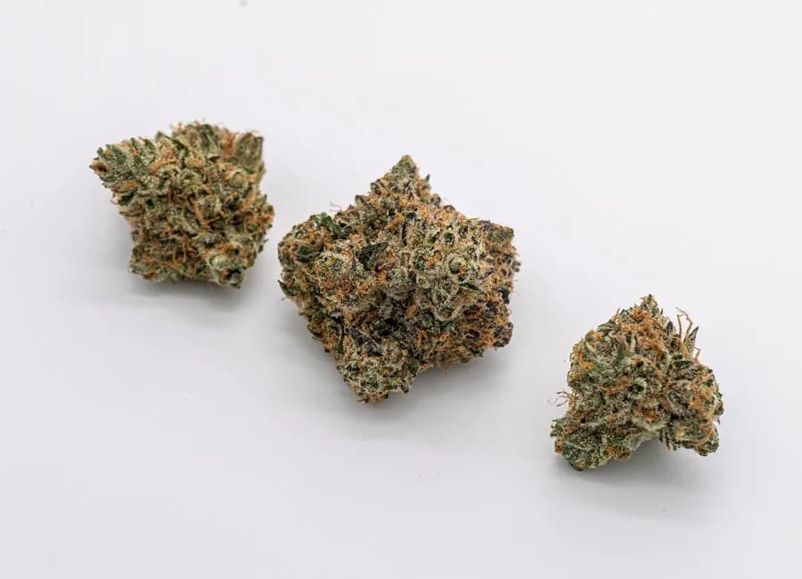 Does Cannabis Cause Hangovers: Fact vs. Fiction