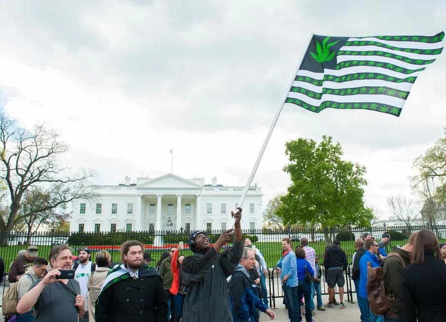 Will the U.S. Legalize Marijuana in 2022?