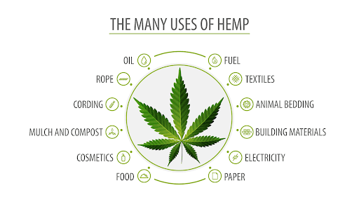 All You Need to Know About Hemp