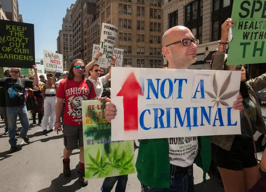 Get Involved: How to Be a Cannabis Advocate