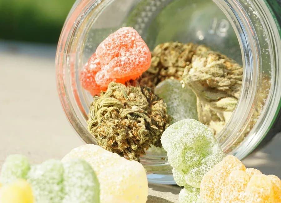 How Long Do Edibles Stay in Your System