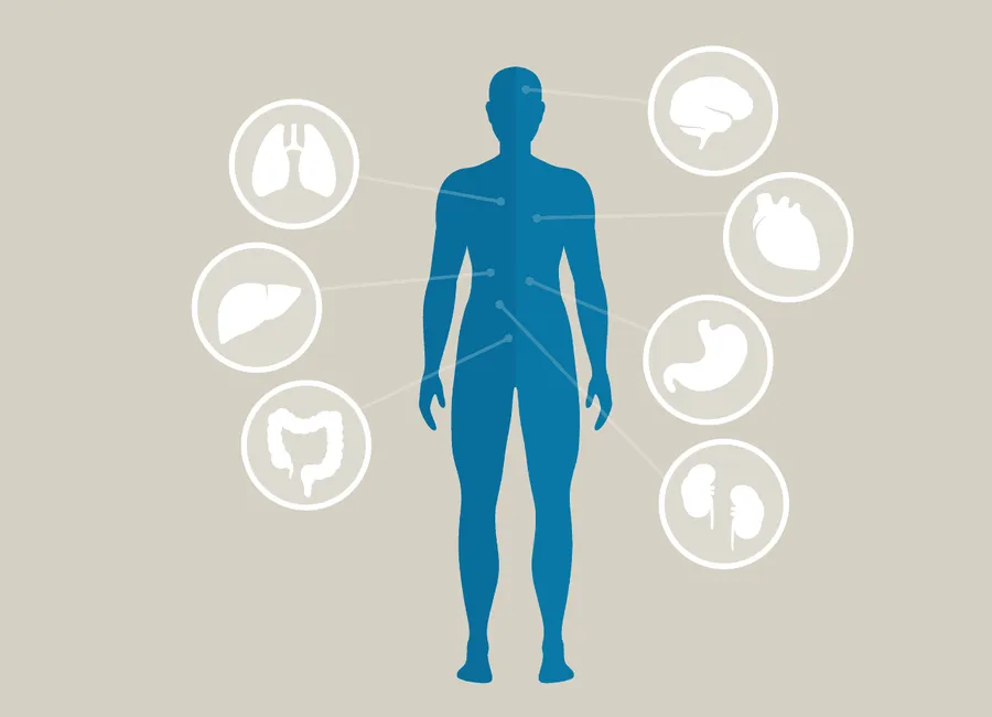 Introduction to the Endocannabinoid System