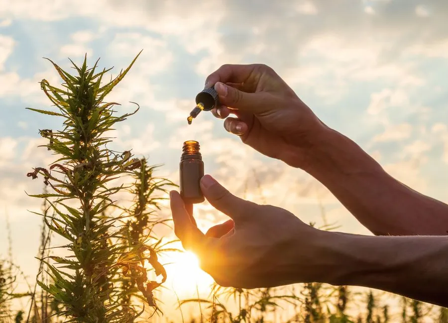 CBD for Joint Pain: Tips for Getting Started