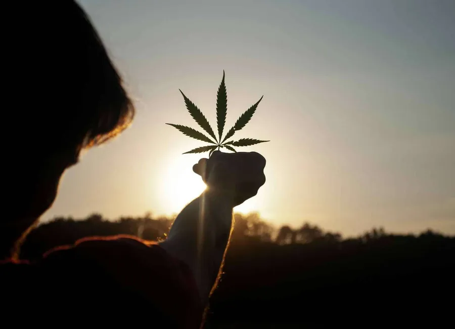 Is Weed a Depressant?