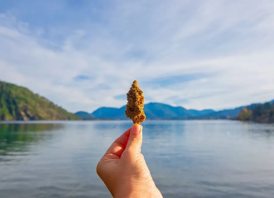 Beat the Heat: 420 Friendly Summer Activities