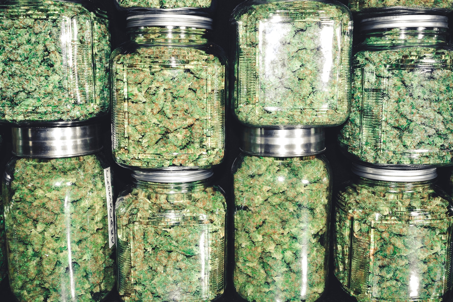 Different Cannabis Strains in Jars