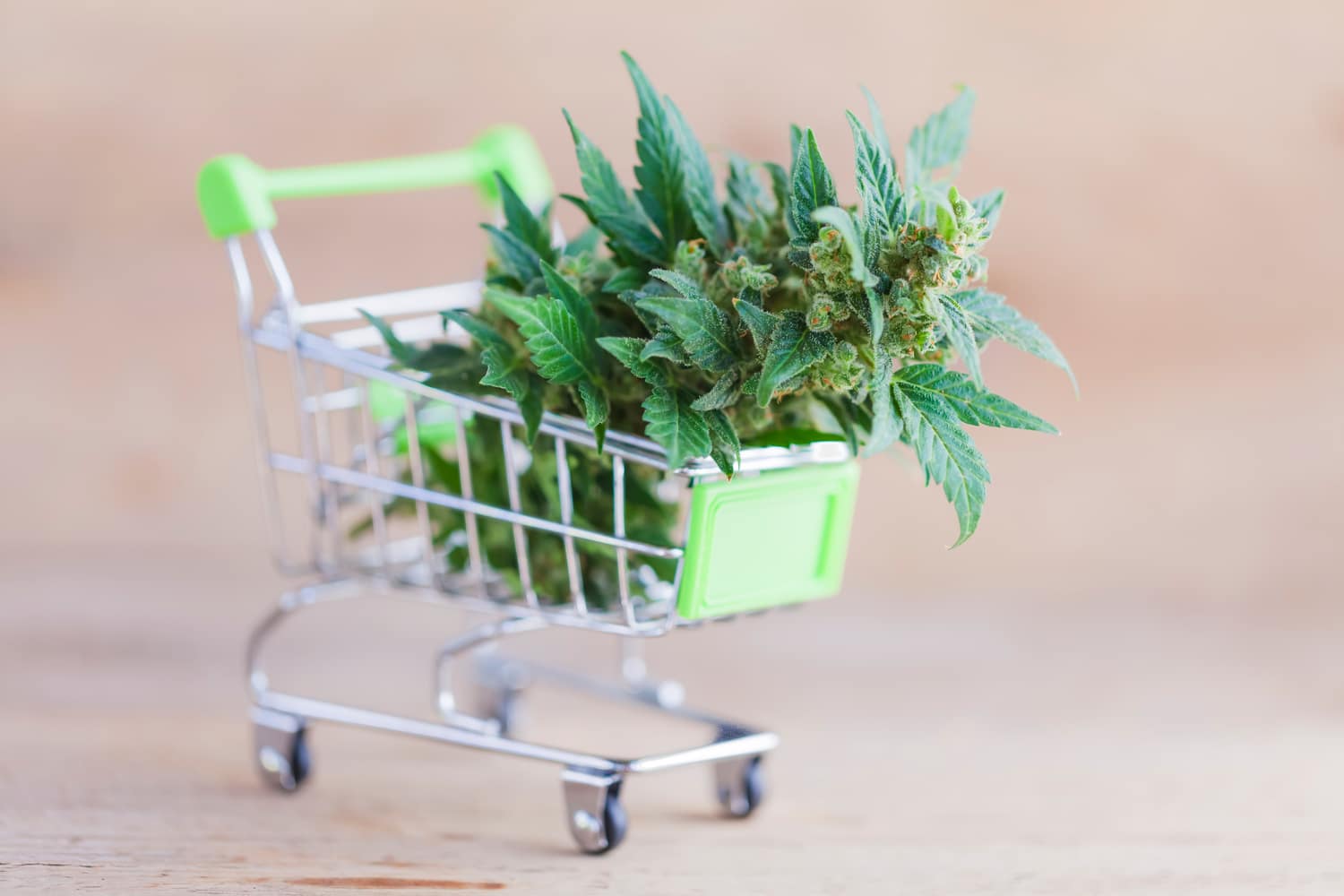 cannabis retail shopping