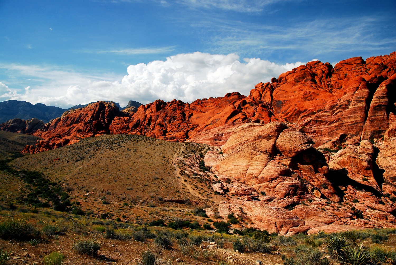 Red Rock Canyon Nevada