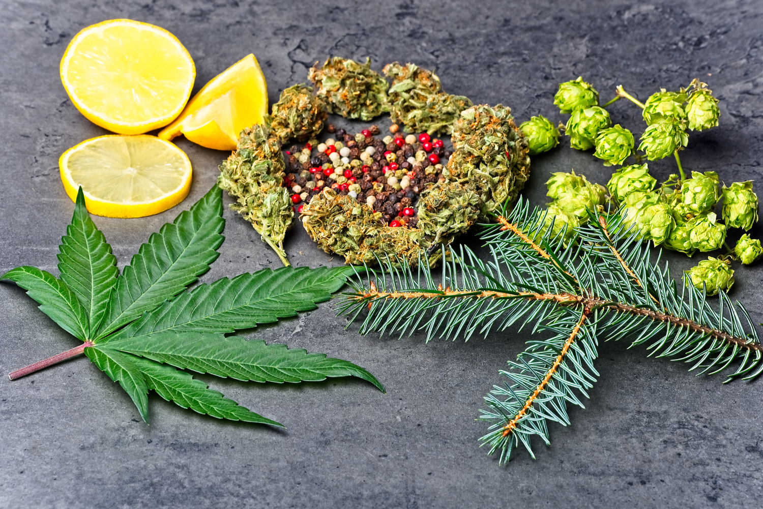 Cannabis Flower with Citrus Lemon Terpenes