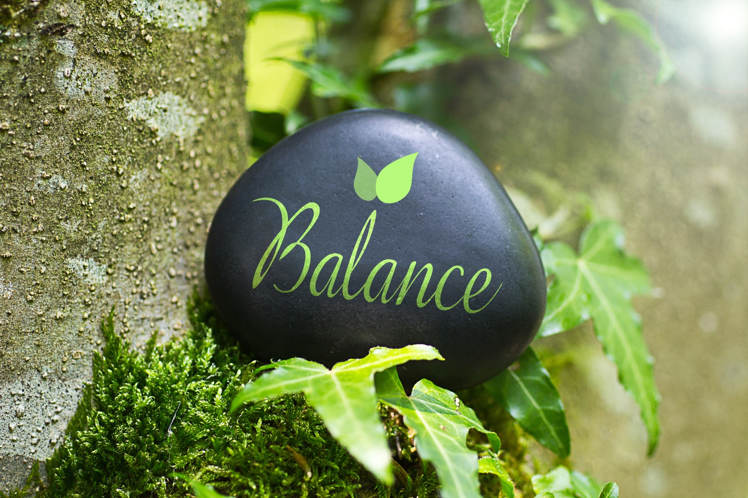 self care balance