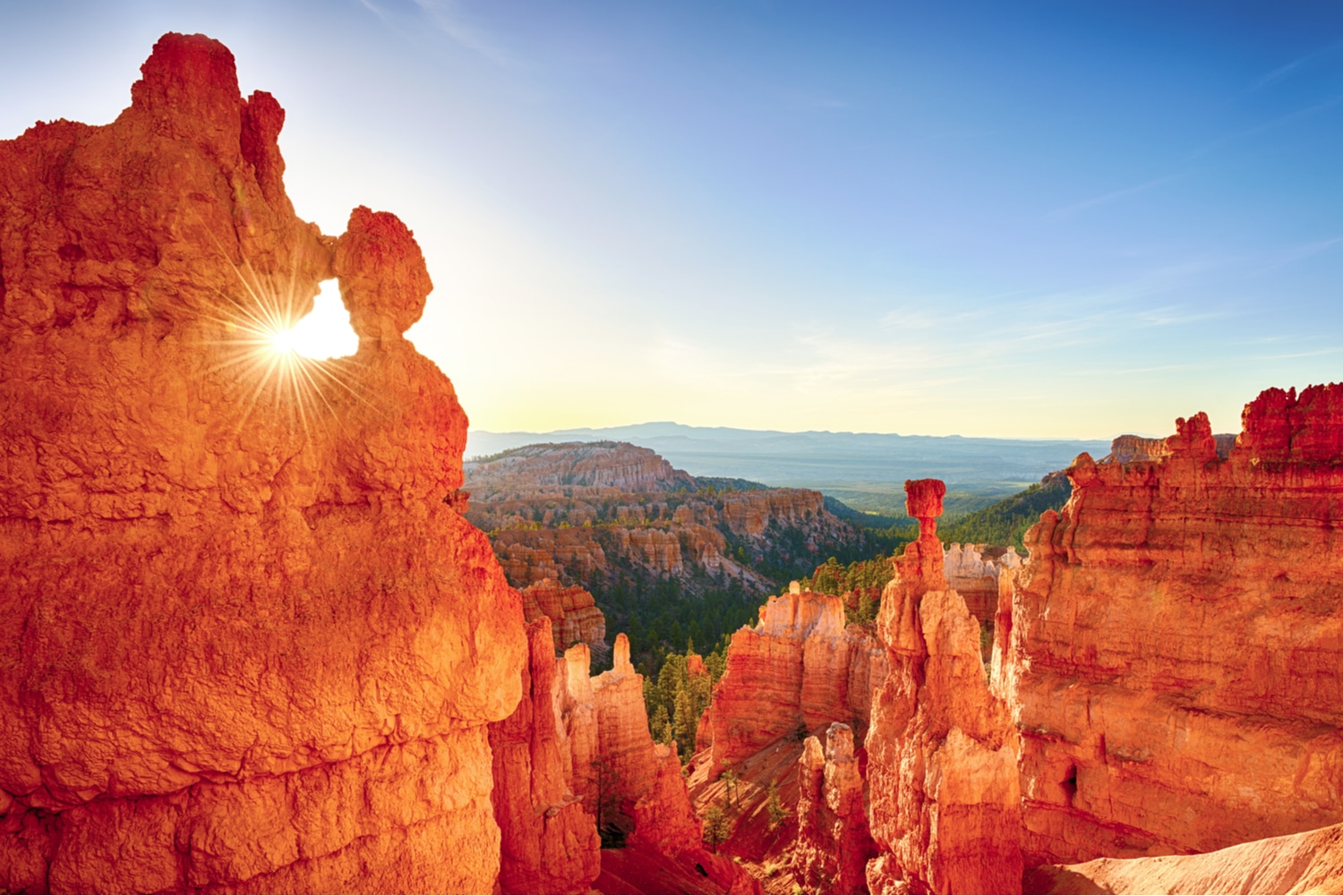 Bryce Canyon Beauty