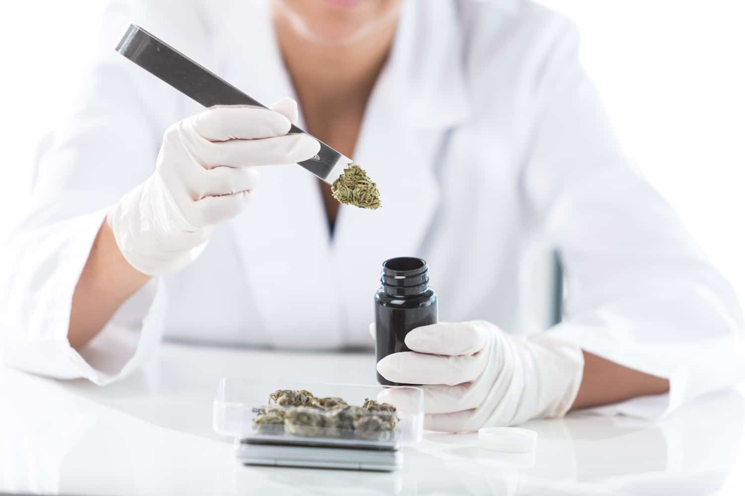 Doctor weighing cannabis