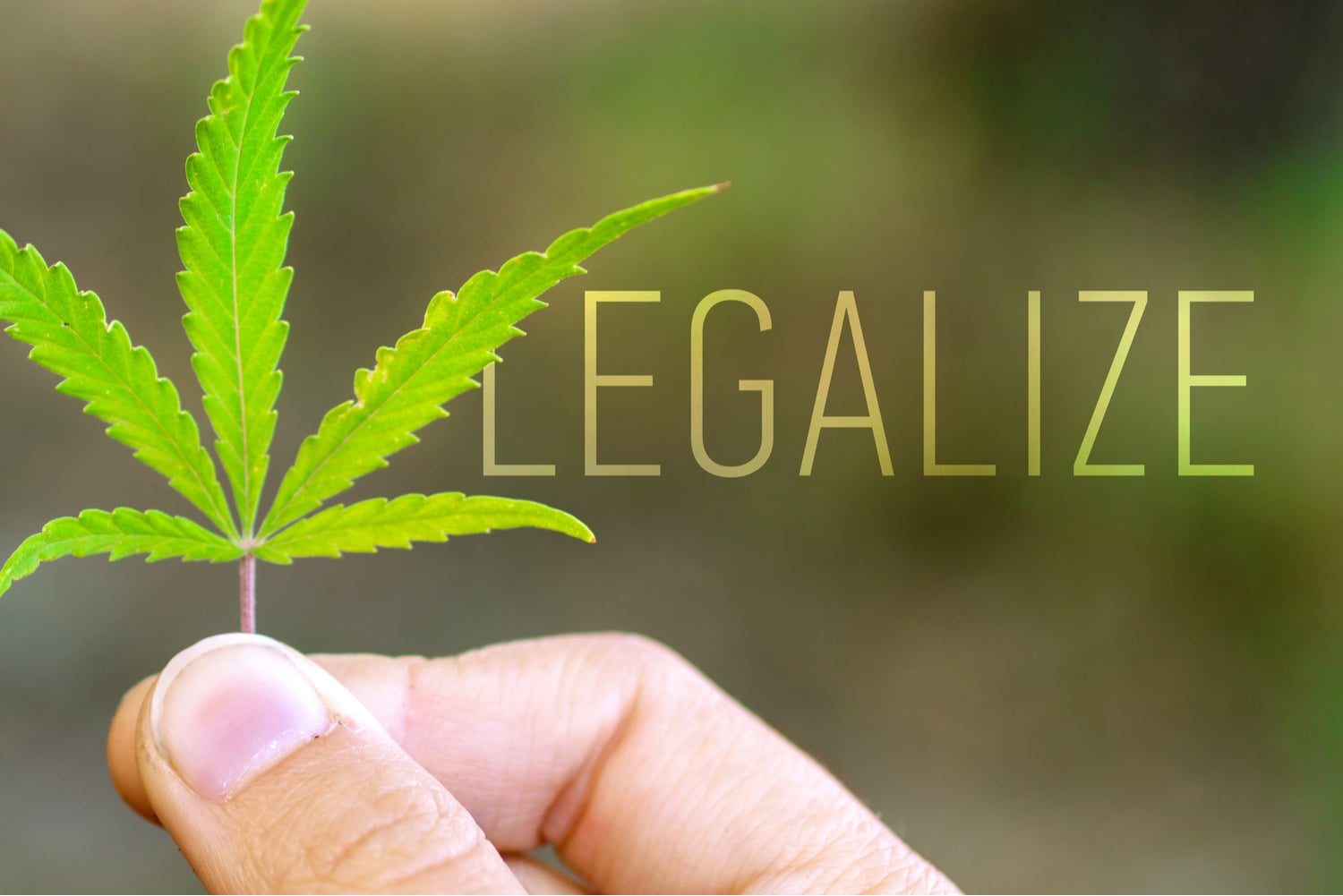 Medical Vs Recreational Cannabis In Las Vegas - Green Cannabis Co 