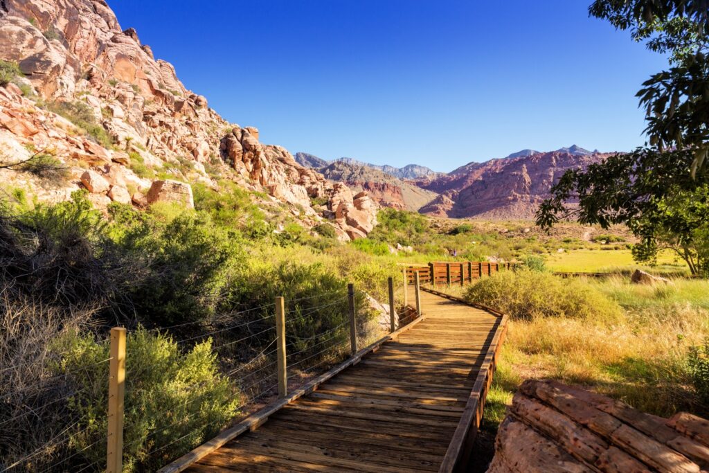 Top Ten Best Hikes Near Las Vegas Green Cannabis Co.